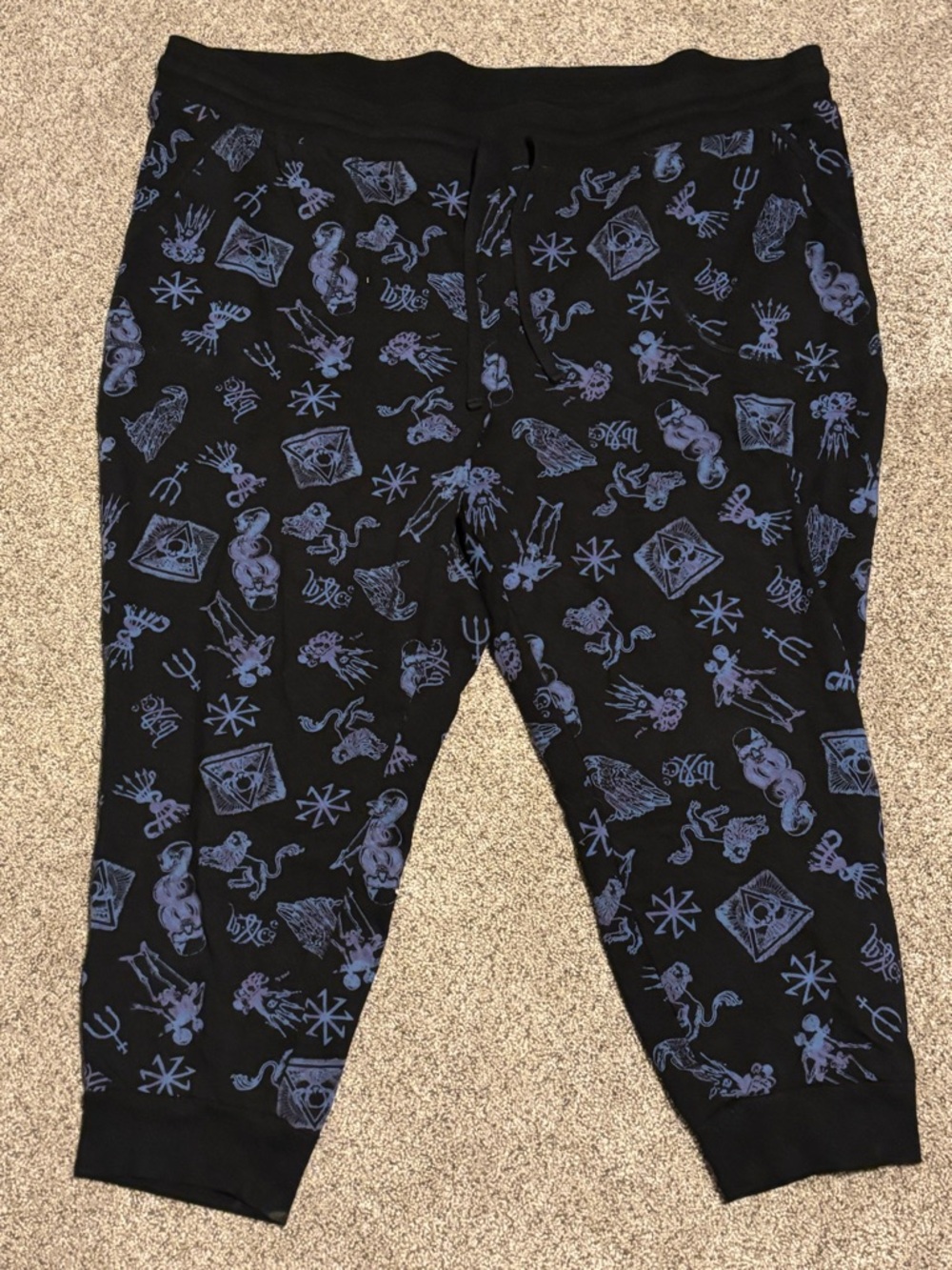 Warner Bros. Black Track Joggers with Blue Character Print